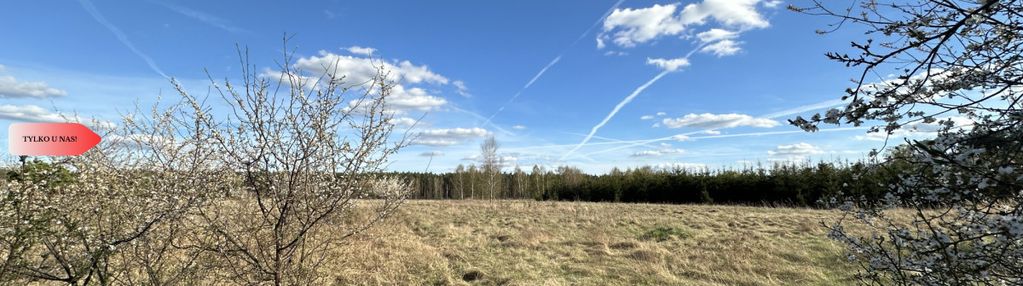 Działka budowlana skórka