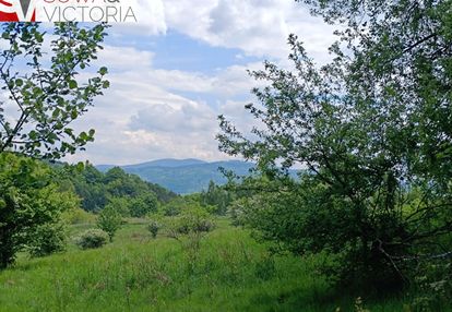 Widok na góry , piękny drzewostan. przy lesie !
