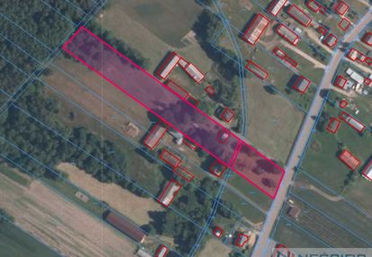Działka 6700m2 na sprzedaż z siedliskiem