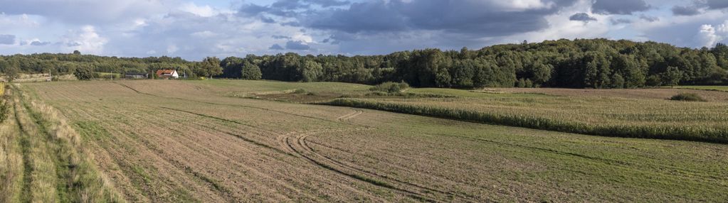 3,5 ha gruntu rolnego. strużyna koło pasłęka
