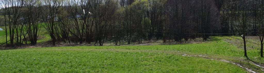 Działka rekreacyjna 40a- manasterz