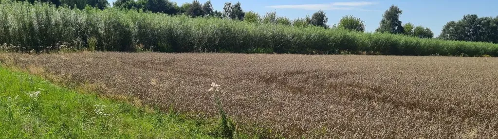 Działka na sprzedaż 1600m2