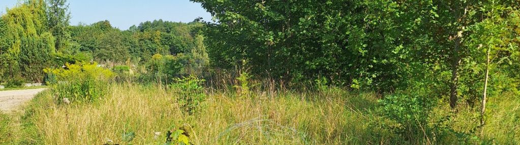 Działka na osiedlu domów żukczyn