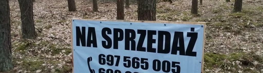 Błędowo działka budowlana - las