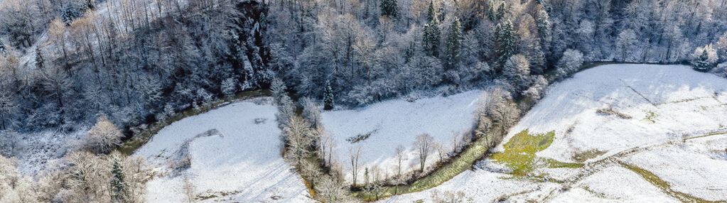 6,86 ha na sprzedaż żubracze