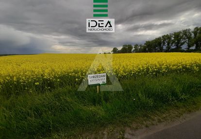 Działka w trzemiętowie 1625 mkw warunki zabudowy