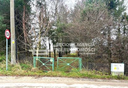 Połęczyno siedlisko 0,6 ha na sprzedaż.