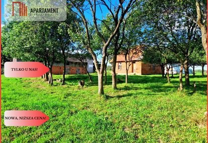 Tylko u nas! siedlisko ze starymi zabudowaniami.