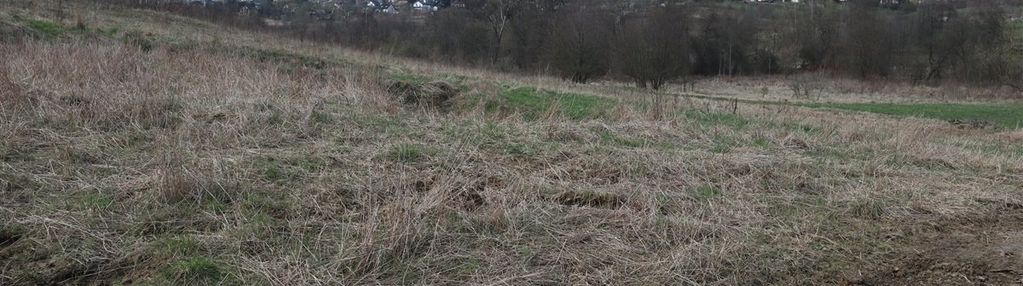 Budowlana, widokowa 10 arów
