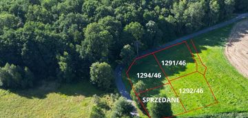 Malownicze pasieki, las, media i asfalt !