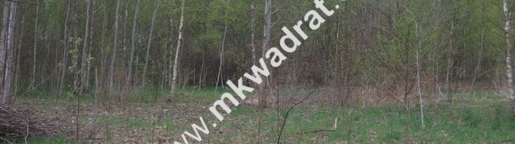 Działka budowlana 27 000 m² bukówka