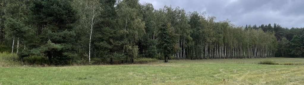 Działka bud. 4113 m² w sierakowie koło radzymina.