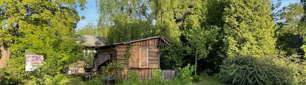 Działka ROD Siekierki przyjemna i dobrze utrzymana