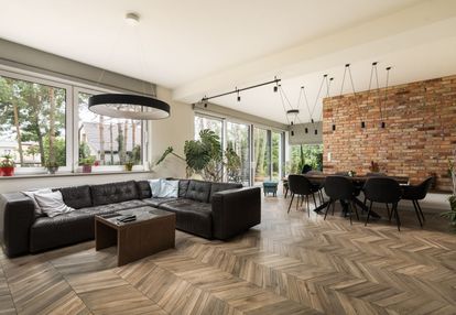 Dom z osobnym 2 pokojowym apartamentem i oranżerią