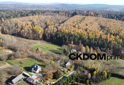 Działka na sprzedaż cisów