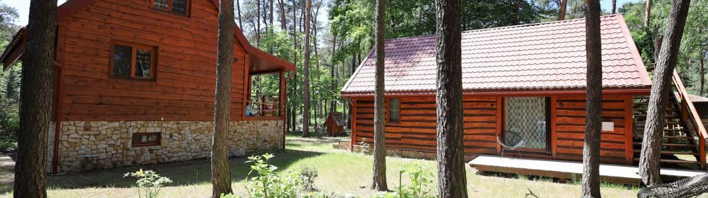 Dwa domy na dużej działce w leśnej otulinie