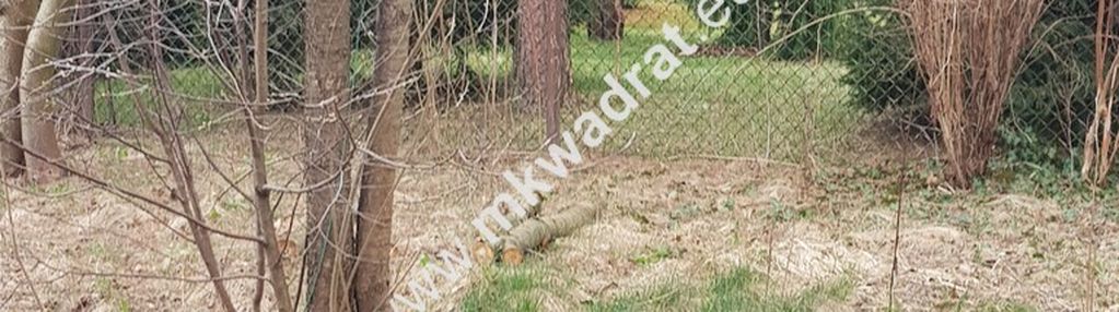 ⭐⭐⭐⭐  blisko wkd  na dom 2 lokal media 1600m2 ⭐⭐⭐⭐