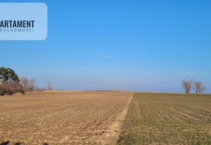 Działka rolna niedaleko złotnik kujawskich!