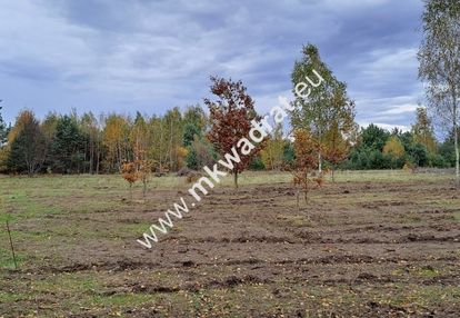 Zboiska gm. radziejowice | mpzp | 1300m2 | s8