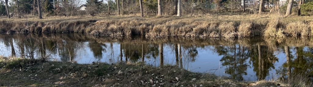 Urokliwa działka w łochowie