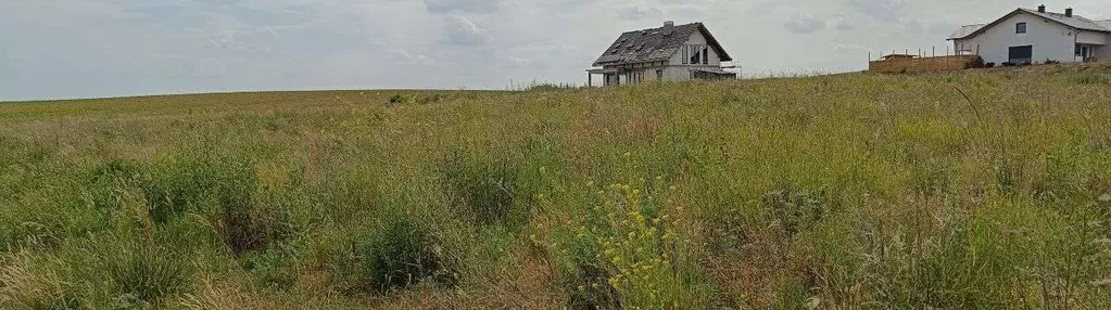 Działka Budowlana, Rózyny