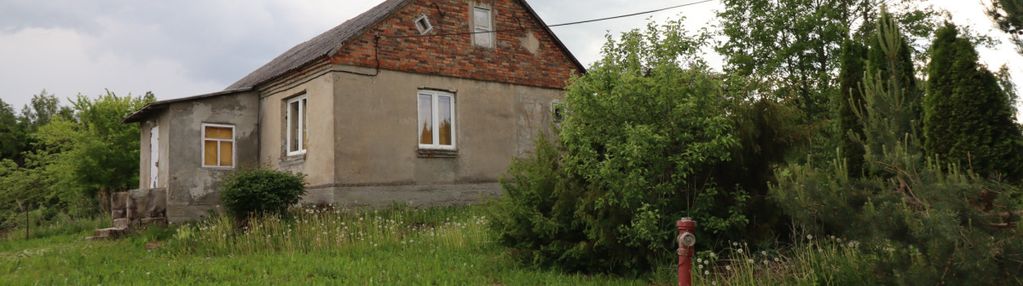 Dom wśród natury