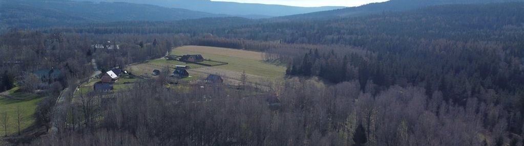 Działka w antoniowie siedliskowa z lasem 8500m2
