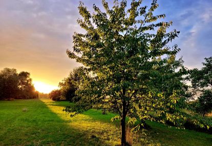 Działka z małym domkiem|pod budowę|z mediami