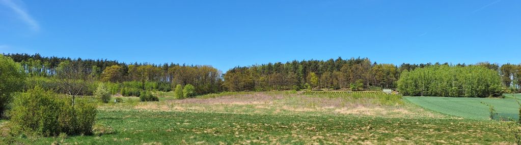 Działka 2500 m2 czernikowice przy lesie