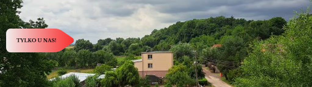 Dzialka ze stawem widlice