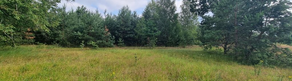 Działka budowlana w gruszkach