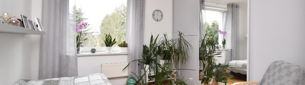 Dom w otoczeniu zieleni w milejewie