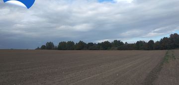 Działka budowlana w miejscowości leszcz k/torunia