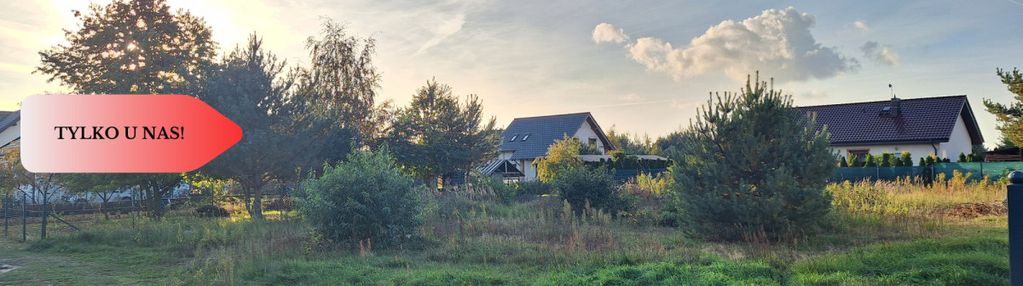 Działka dębina spokojna okolica