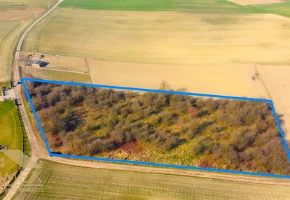 Czernica – przestronna działka w zielonej okolicy