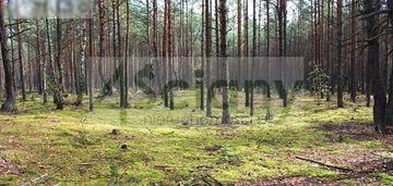 Wawer - radość, działka leśna, inwestycyjna