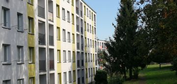 Bilika słoneczne ciepłe widok na zieleń