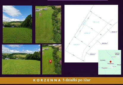 Atrakcyjna działka korzenna 12ar