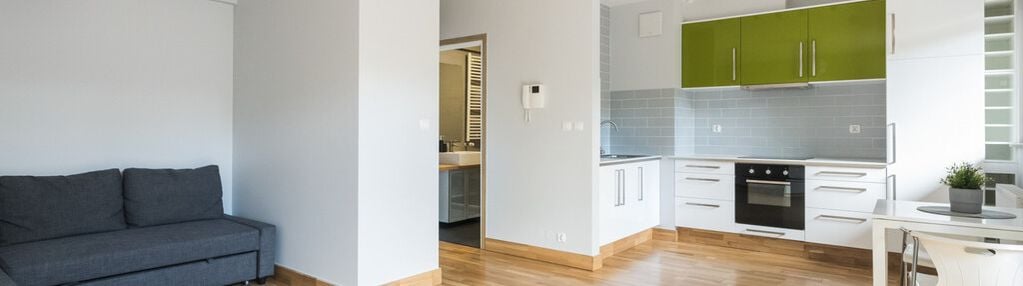 Przestronne studio 33m2 (al. kijowska)