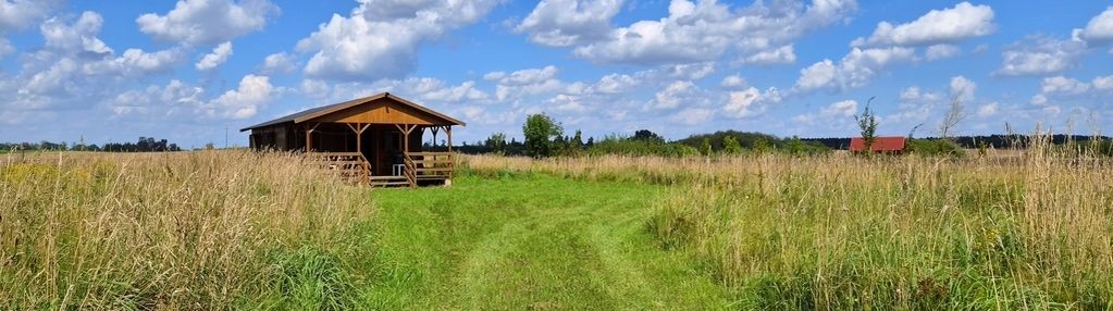 Oaza ciszy 300 m od jezioraka! 2711 m² z domkiem
