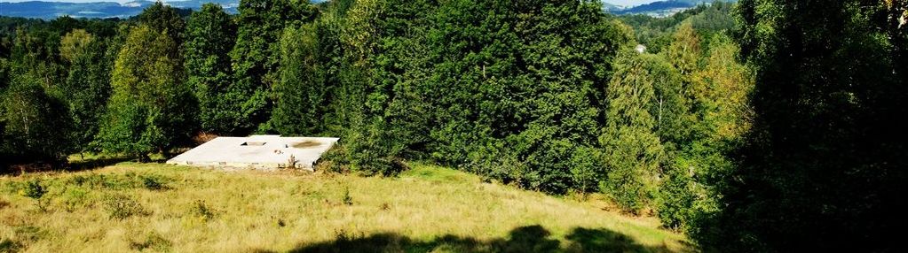 Działka w trzcińsku przy sokolikach