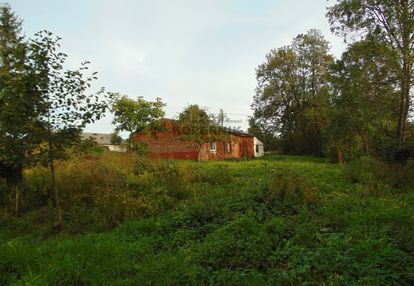 Siedlisko blisko torunia!!!!