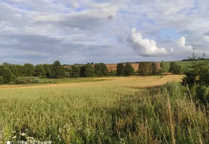 Działka na sprzedaż 2990m2