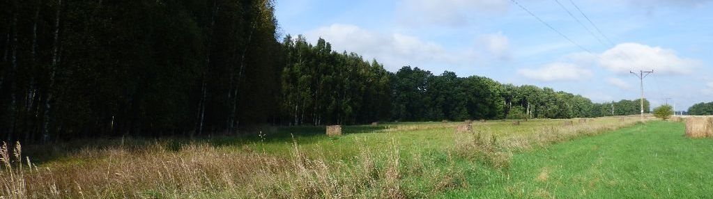 Atrakcyjne działki trójca koło zgorzeleca