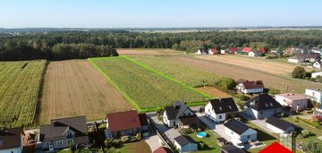 Błotnica strzelecka, duży areał, potencjał inwest.