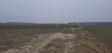 Działka budowlana 1000 m² w boroszkowie