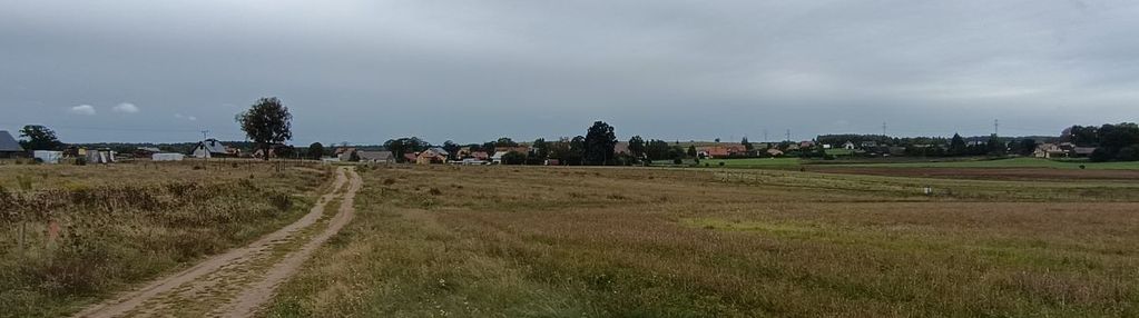 Ełganowo/trąbki wielkie-trzy działki o pow. 3200m2