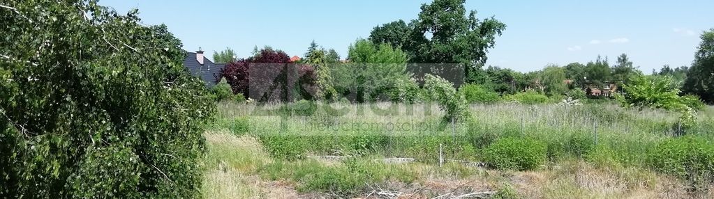 Daleki ursynów. interesująca działka.