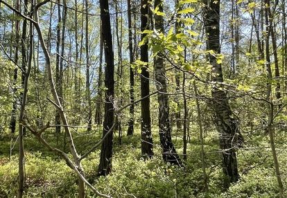 Działki na sprzedaż – ciemne k. radzymina