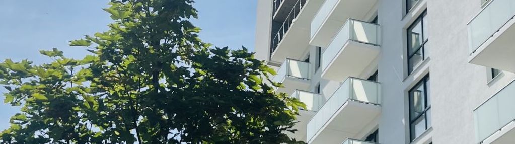 Premium! szybki odbiór! zobacz na żywo